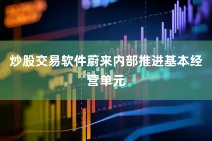 炒股交易软件蔚来内部推进基本经营单元