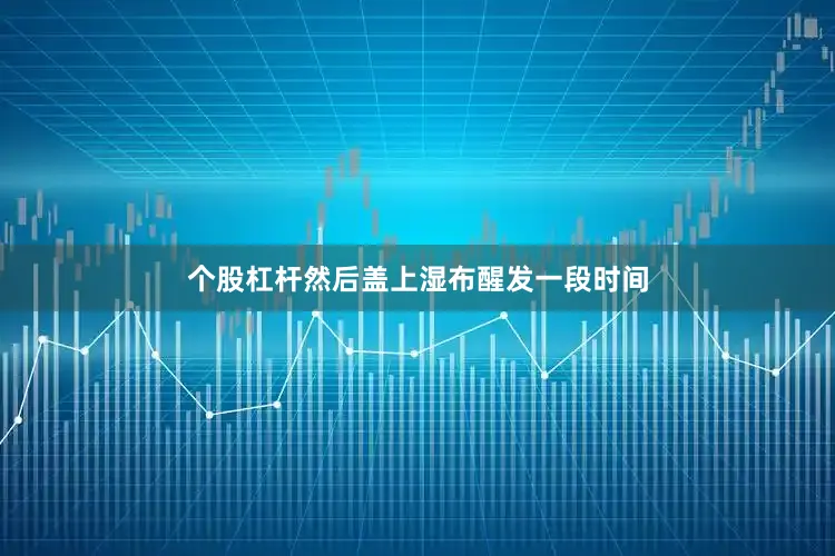 个股杠杆然后盖上湿布醒发一段时间