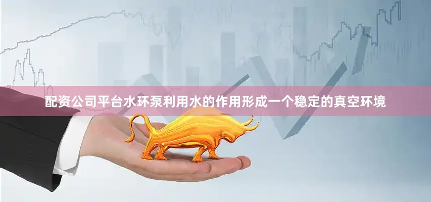 配资公司平台水环泵利用水的作用形成一个稳定的真空环境