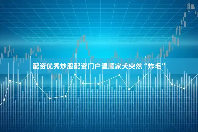配资优秀炒股配资门户温顺家犬突然“炸毛”