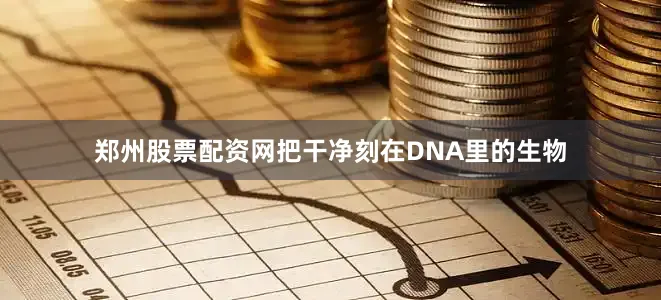 郑州股票配资网把干净刻在DNA里的生物